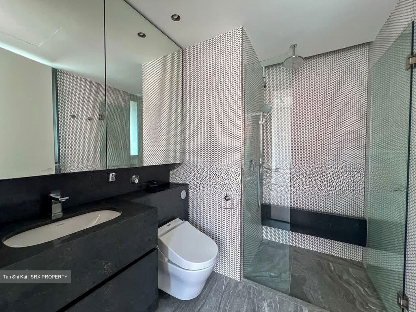 10 Evelyn (D11), Apartment #533228101